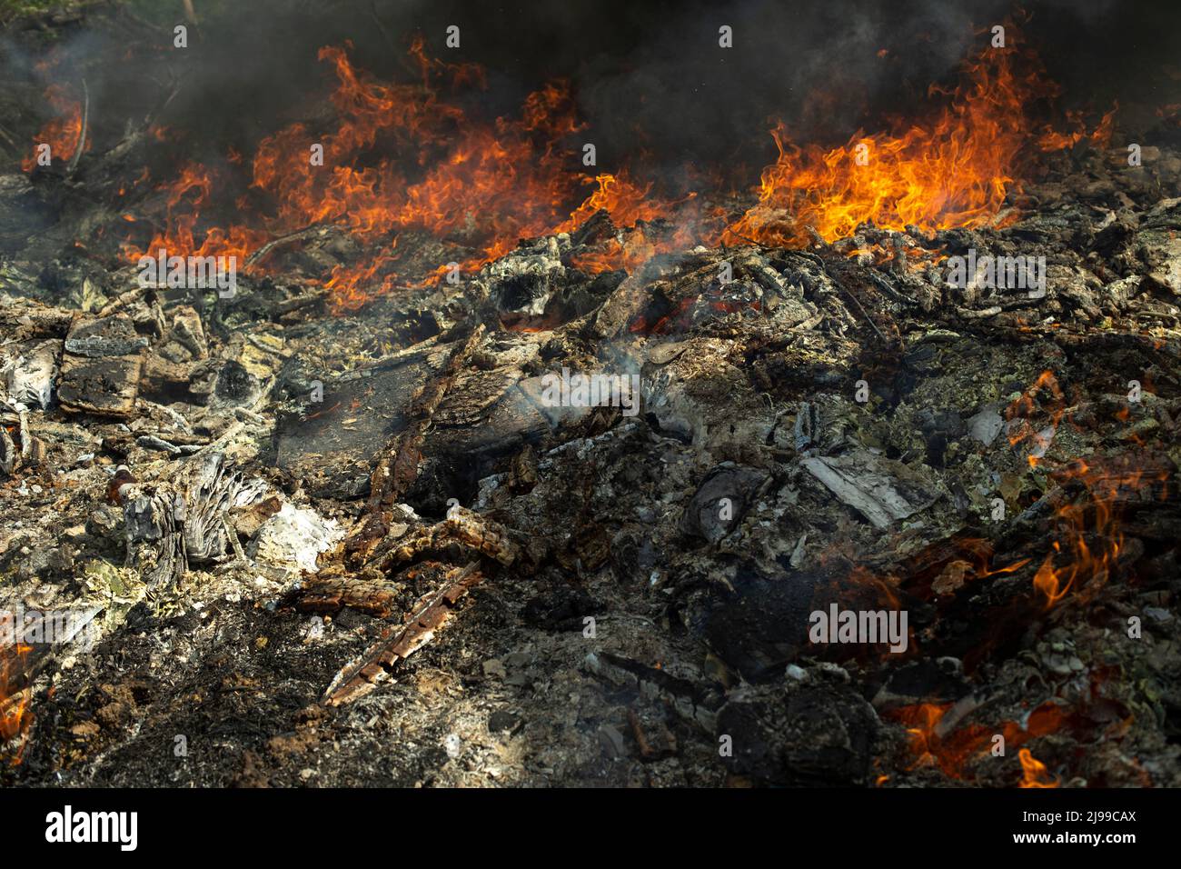 Fire in landfill. Fire and smoke. Burning garbage. Lots of black smoke