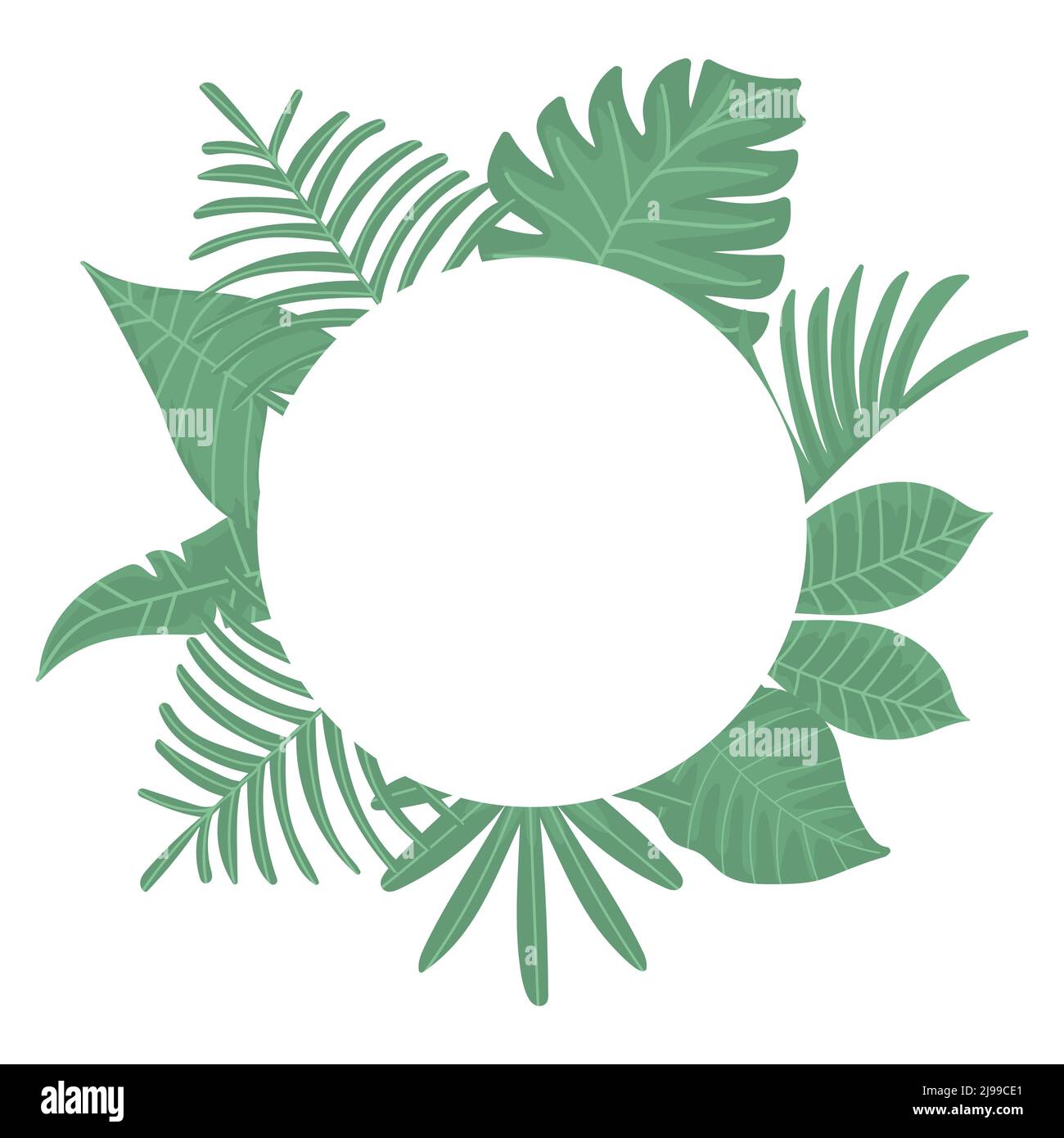 Tropical green leaves with white round frame with place for text ...
