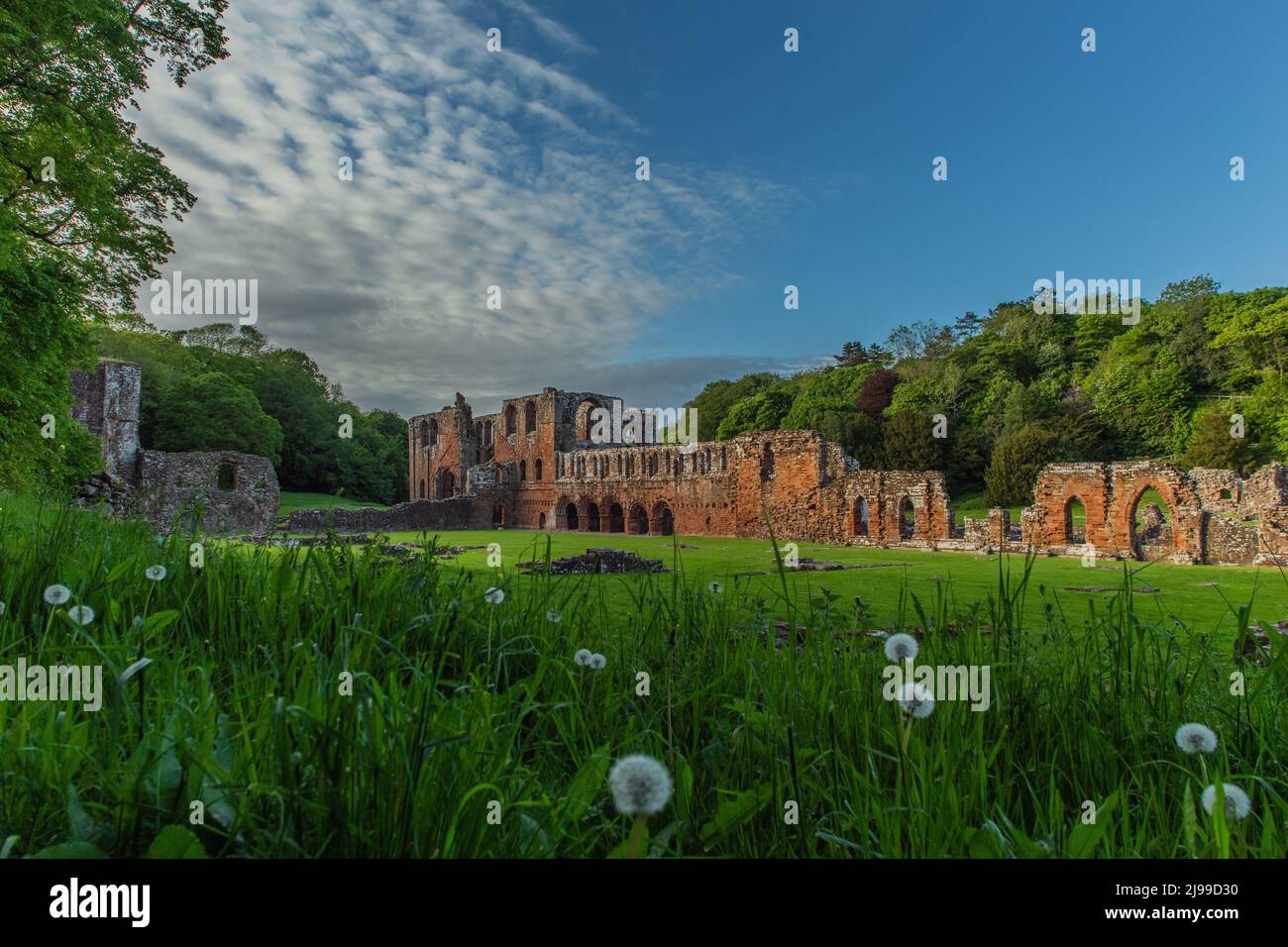 Barrow-In-Furness, Cumbria, UK. 21st May 2022. UK Weather. Late eveninig sunshine from the excellent Furness Abbey. Credit:greenburn/Alamy Live News. Stock Photo