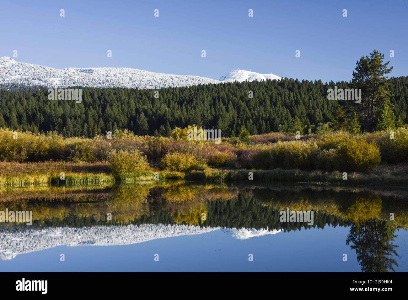 Snow capped Sawtell peak and centennial mountains reflect in a pond reserved for kids fishing, stoddard mill pond, Island Park, Fremont Co, Idaho, USA Stock Photo