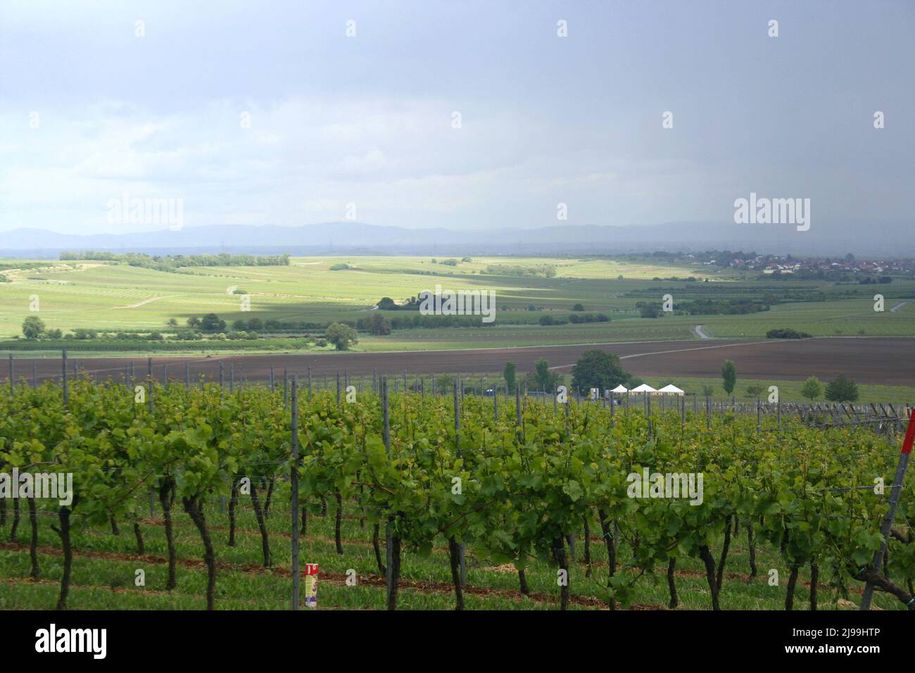 Sunlight over distant hills contrasts with dark clouds as a storm passes over the vineyards, Herxheim am berg, Germany. Stock Photo