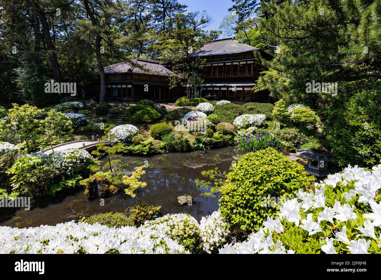 Honma Museum Garden and adjacent Seienkaku Villa and accompanying Kakubuen Gardens are an excellent spot. Kakubuen Gardens that lead you to the villa Stock Photo
