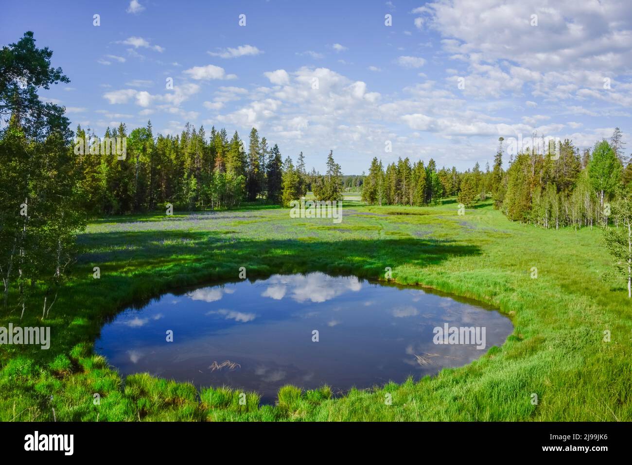 A springtime ephemeral, temporary, pond reflects clouds and sky with a feeling of contemplation. Mesa Falls Scenic Byway, Island Park, Fremont Co. USA Stock Photo