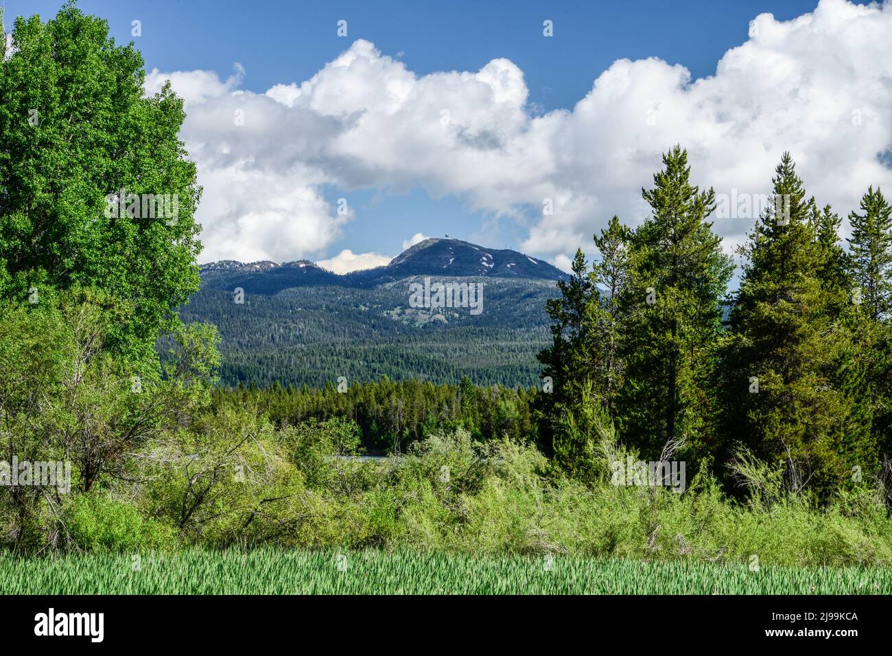 Mt Sawtell is the most prominent landmark in Island Park, Fremont