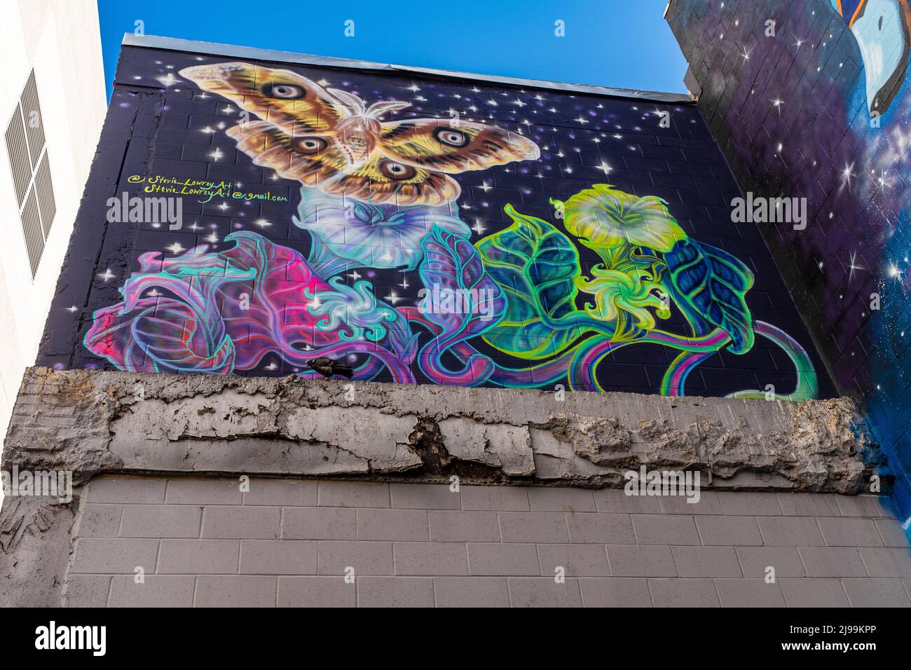 Albuquerque, New Mexico street art Stock Photo - Alamy