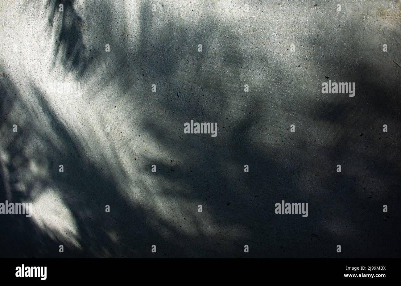 Abstract palm leaf shadows cast on a textured surface, creating a mysterious and serene tropical ambiance Stock Photo