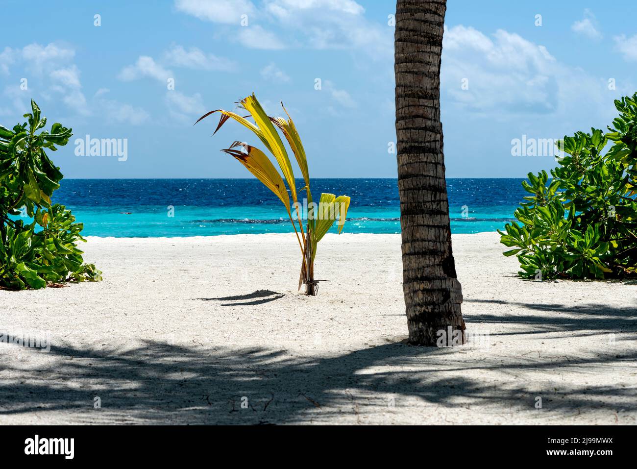 Paradise spot hi-res stock photography and images - Alamy