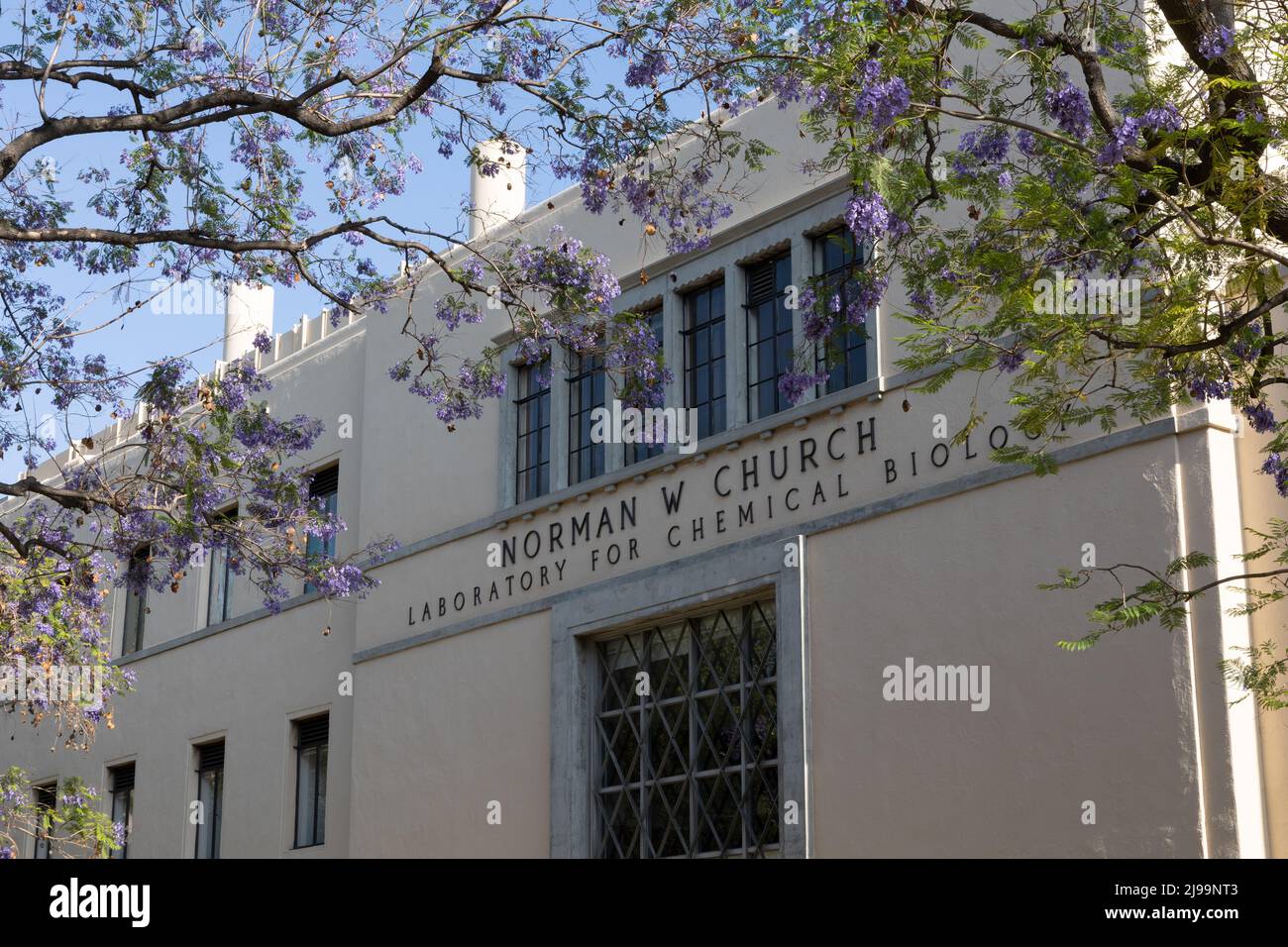 Academic building at Caltech with jacaranda trees Stock Photo