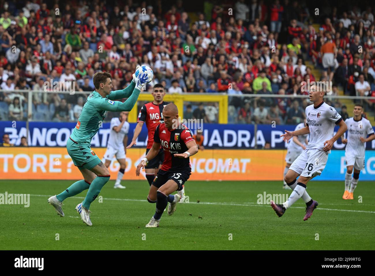 Team Genoa disappointment supporters during UC Sampdoria vs Genoa CFC,  italian soccer Serie A match in Genova, Italy, April 30 2022 Stock Photo -  Alamy