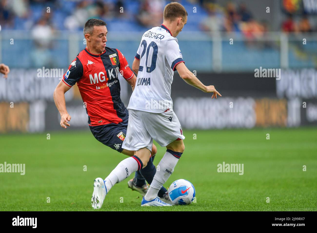 Italian Soccer Serie a Men Championship Bologna FC Vs ACF