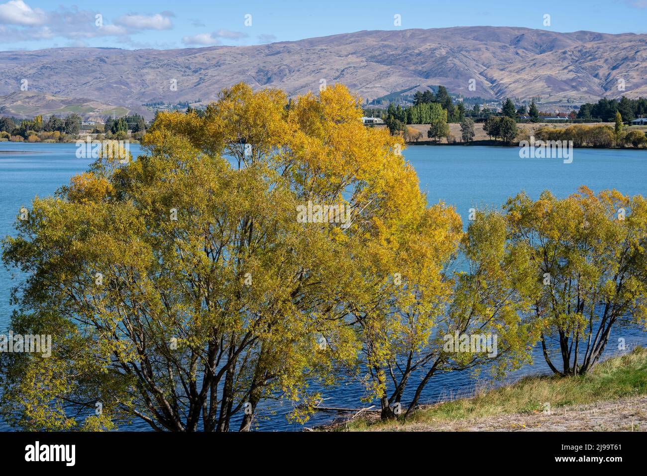 Scenic Lake Dunstan and surrounds in autumn colours at Cromwell South Island New Zealand. Stock Photo