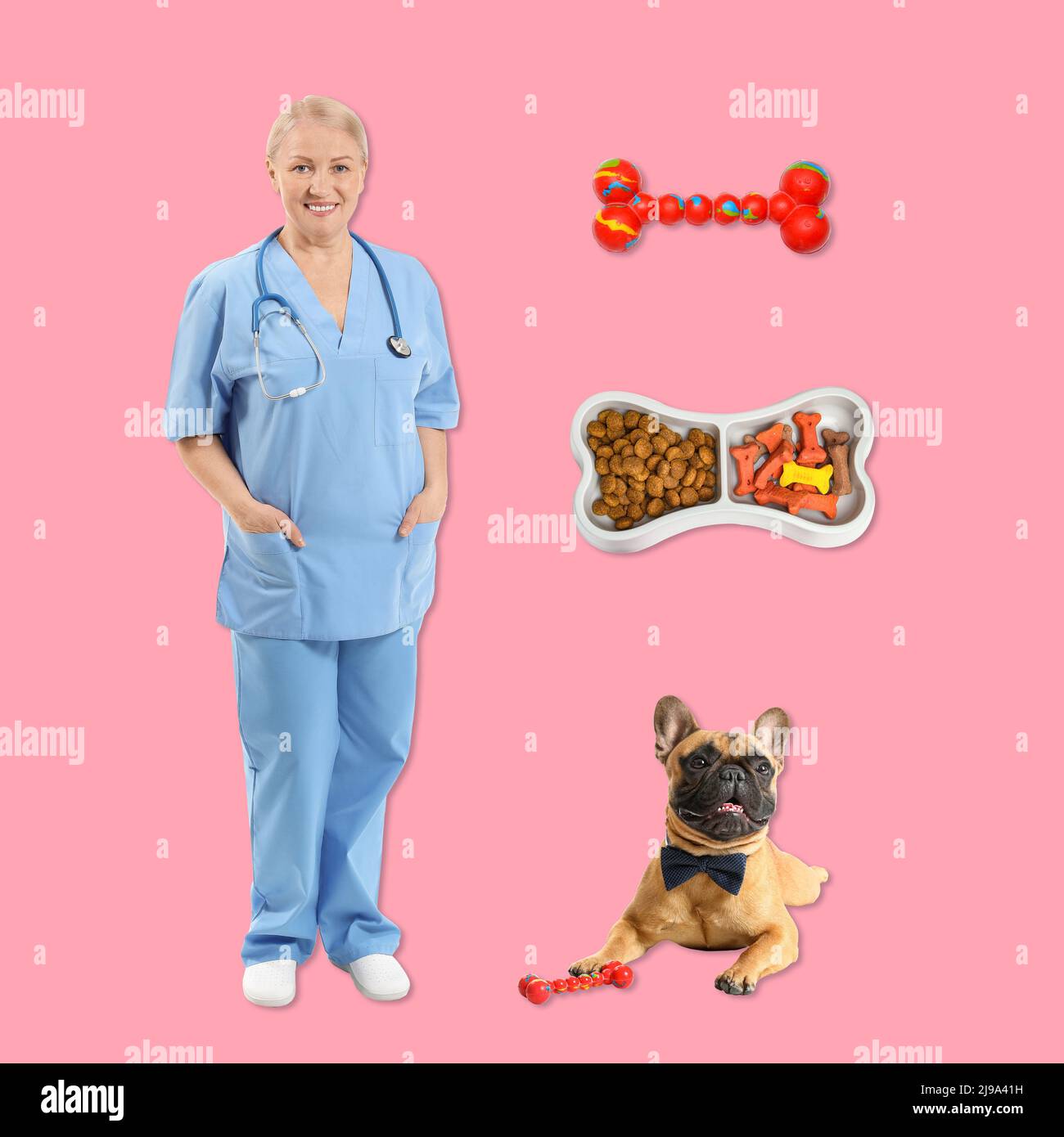 Female veterinarian, cute dog, dry food and toy on pink background Stock Photo