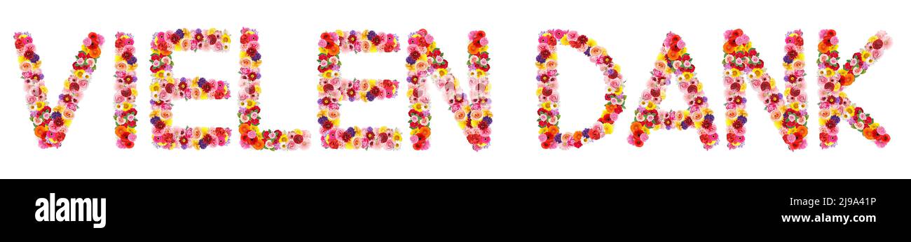 Text VIELEN DANK (German for Thanks a lot) made of flowers on white background Stock Photo