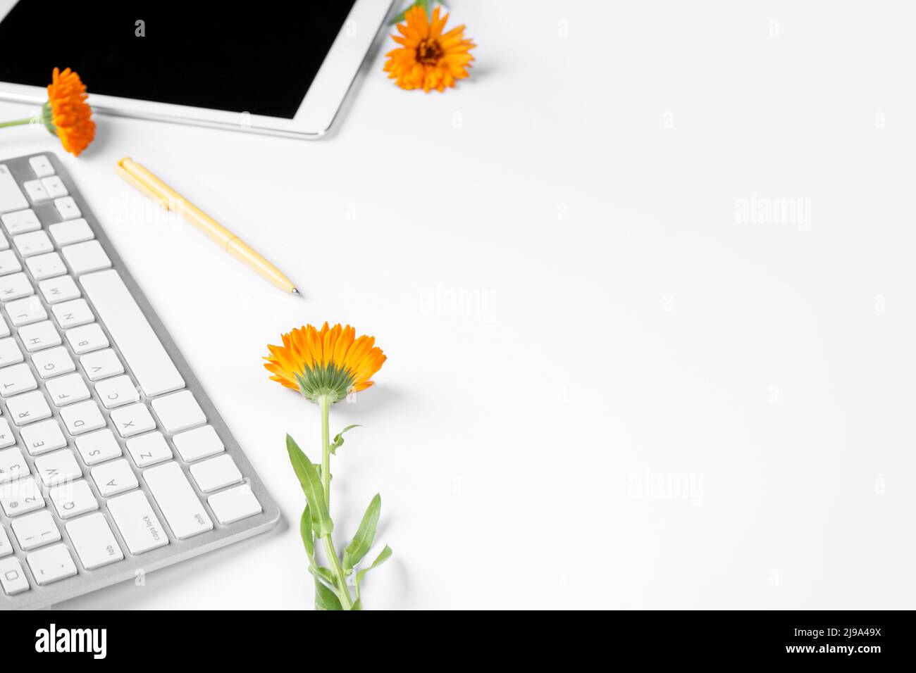 Computer keyboard, pen, flowers and tablet on white background Stock Photo