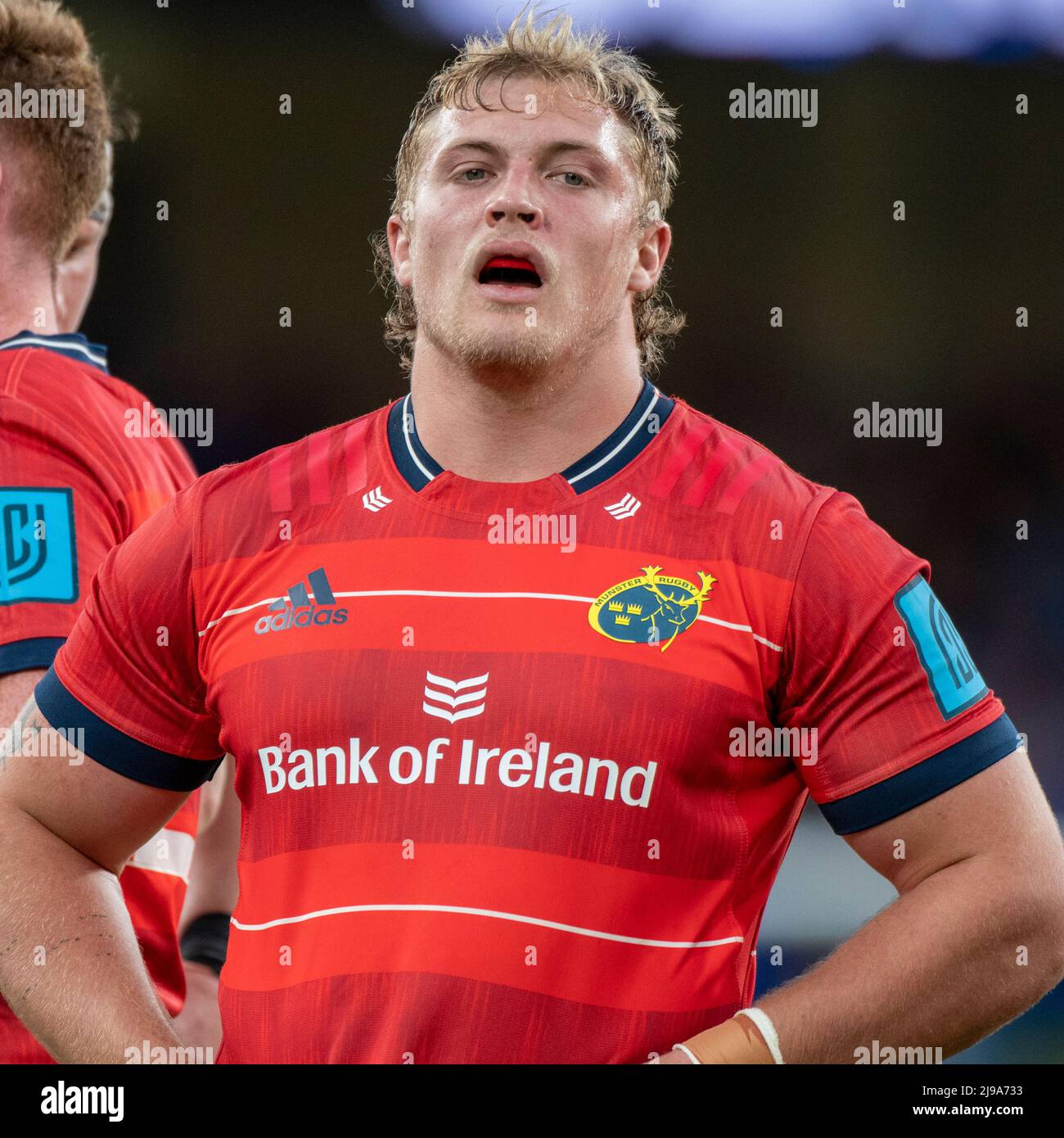 Keynan Knox of Munster during the United Rugby Championship Round 18 match between Leinster Rugby and