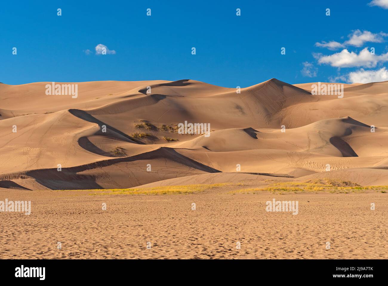Evening Shadows on the Great Sand Dunes in Great Sand Dunes National Park in Colorado Stock Photo