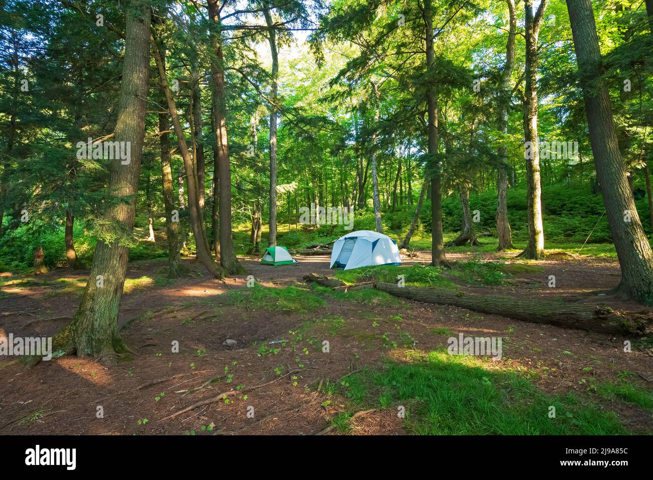 Quiet Campsite in the North Woods on Mountain Lake in the Sylvania Wilderness in Michigan Stock Photo