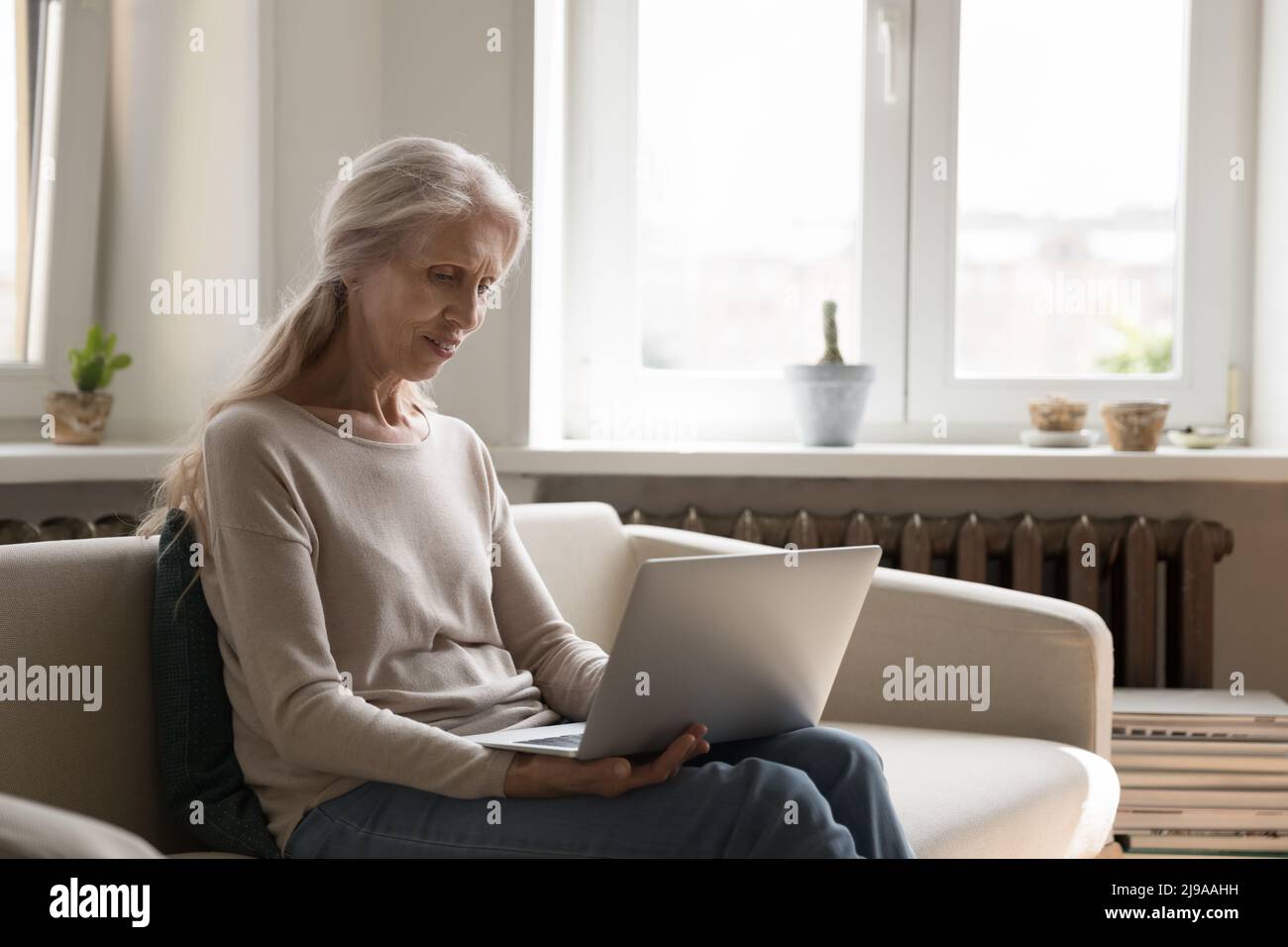 Focused positive retired freelancer working from home Stock Photo