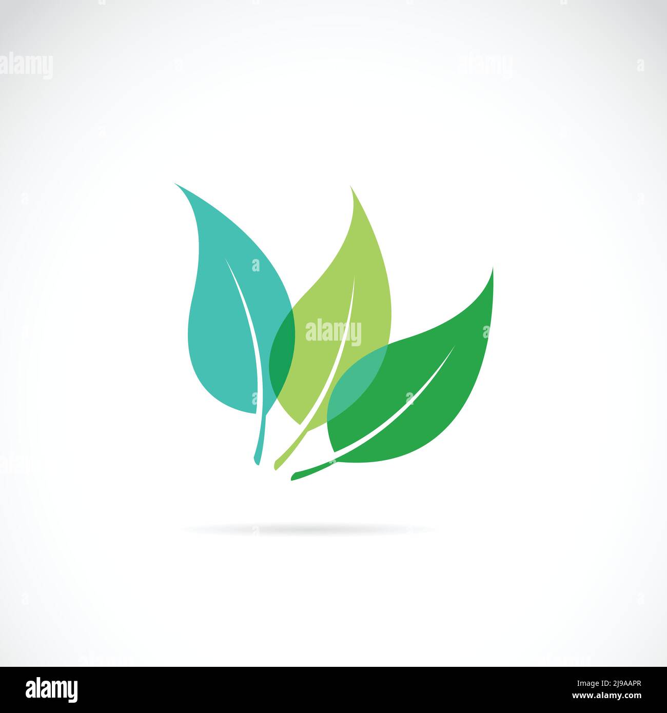 Vector leaves icon on white background Stock Vector Image & Art - Alamy