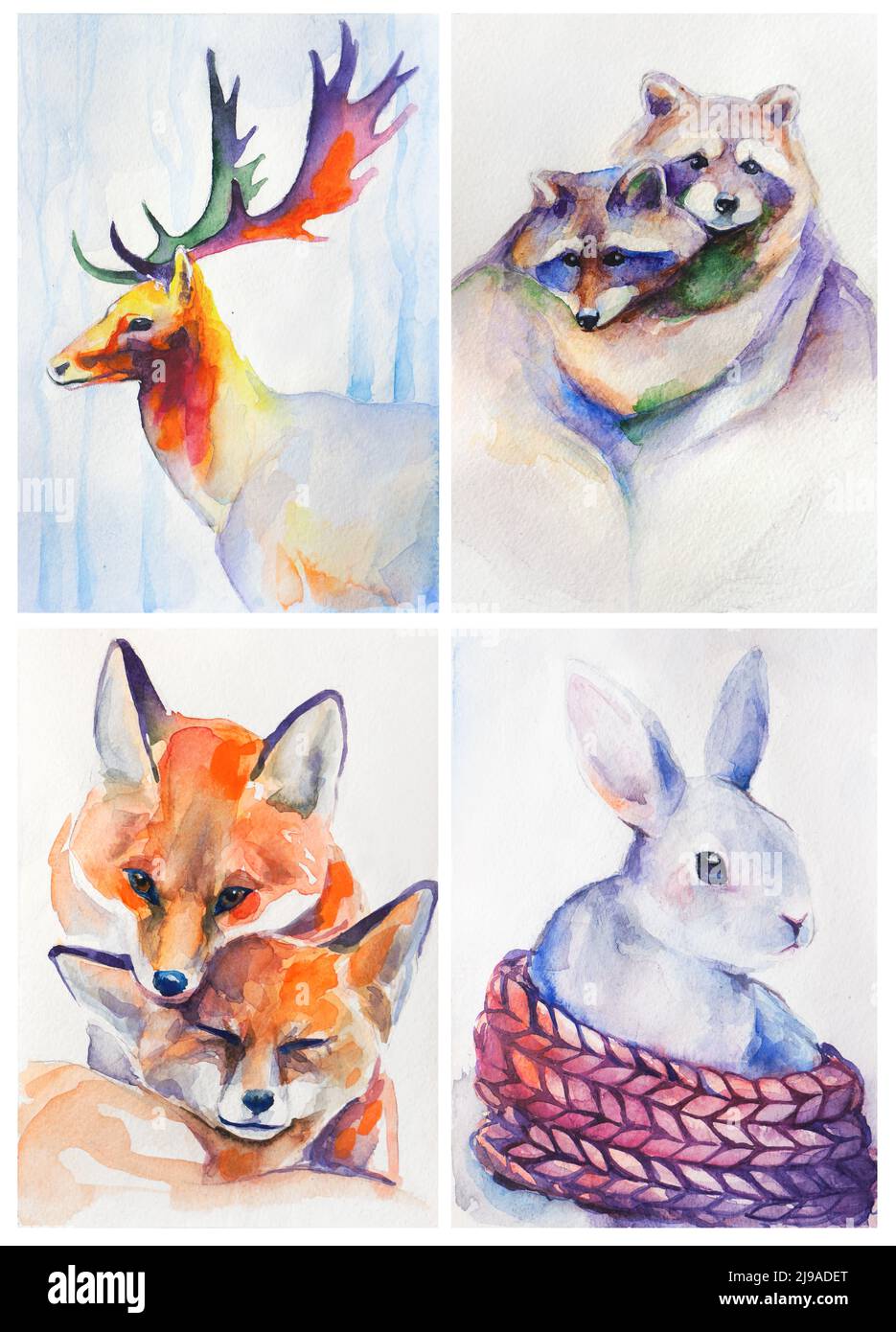 Watercolor cute animals hi res stock photography and images Alamy