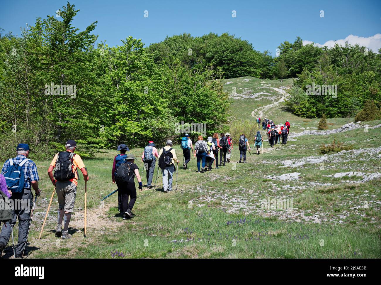 Hikers people hiking walking trekking hi-res stock photography and ...