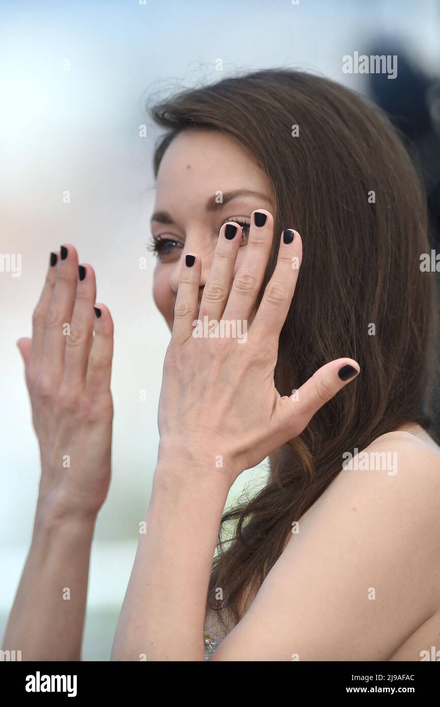 Marion cotillard attending the photocell for the film Brother And