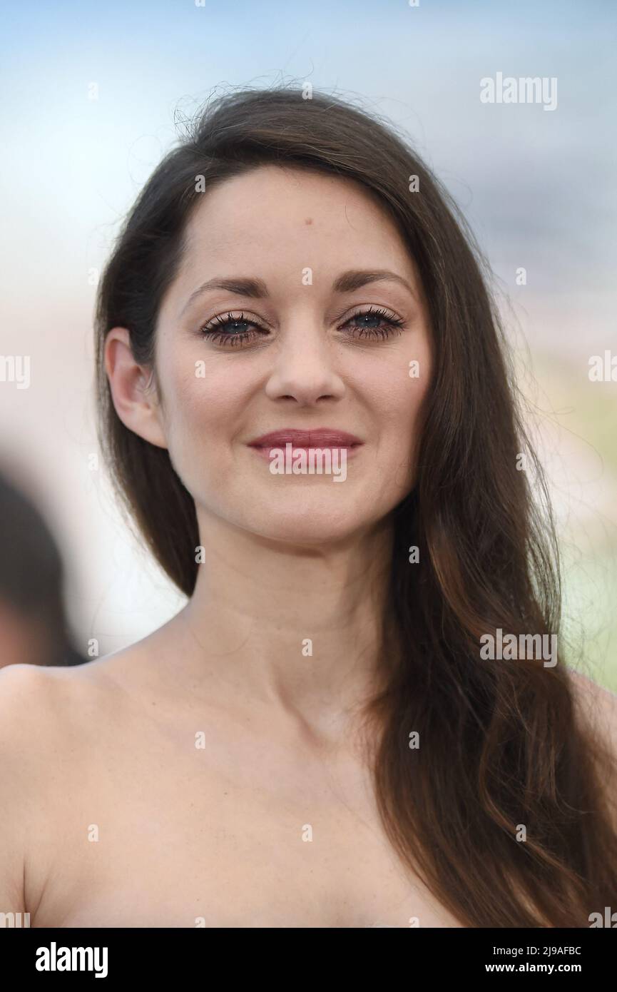 Marion cotillard attending the photocell for the film Brother And