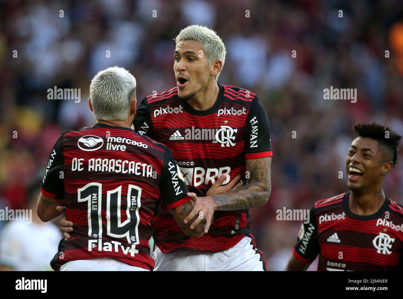 Pablo of Flamengo during the match between Flamengo and Cuiaba as part of  Brasileirao Serie A 2022 at Maracana Stadium on June 15, 2022 in Rio de  Janeiro, Brazil. (Photo by Ruano