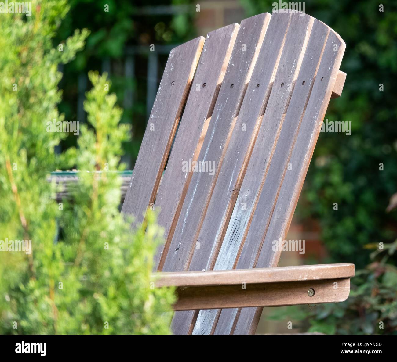 teak wooden slatted folding reclining garden chair in a summer garden setting Stock Photo