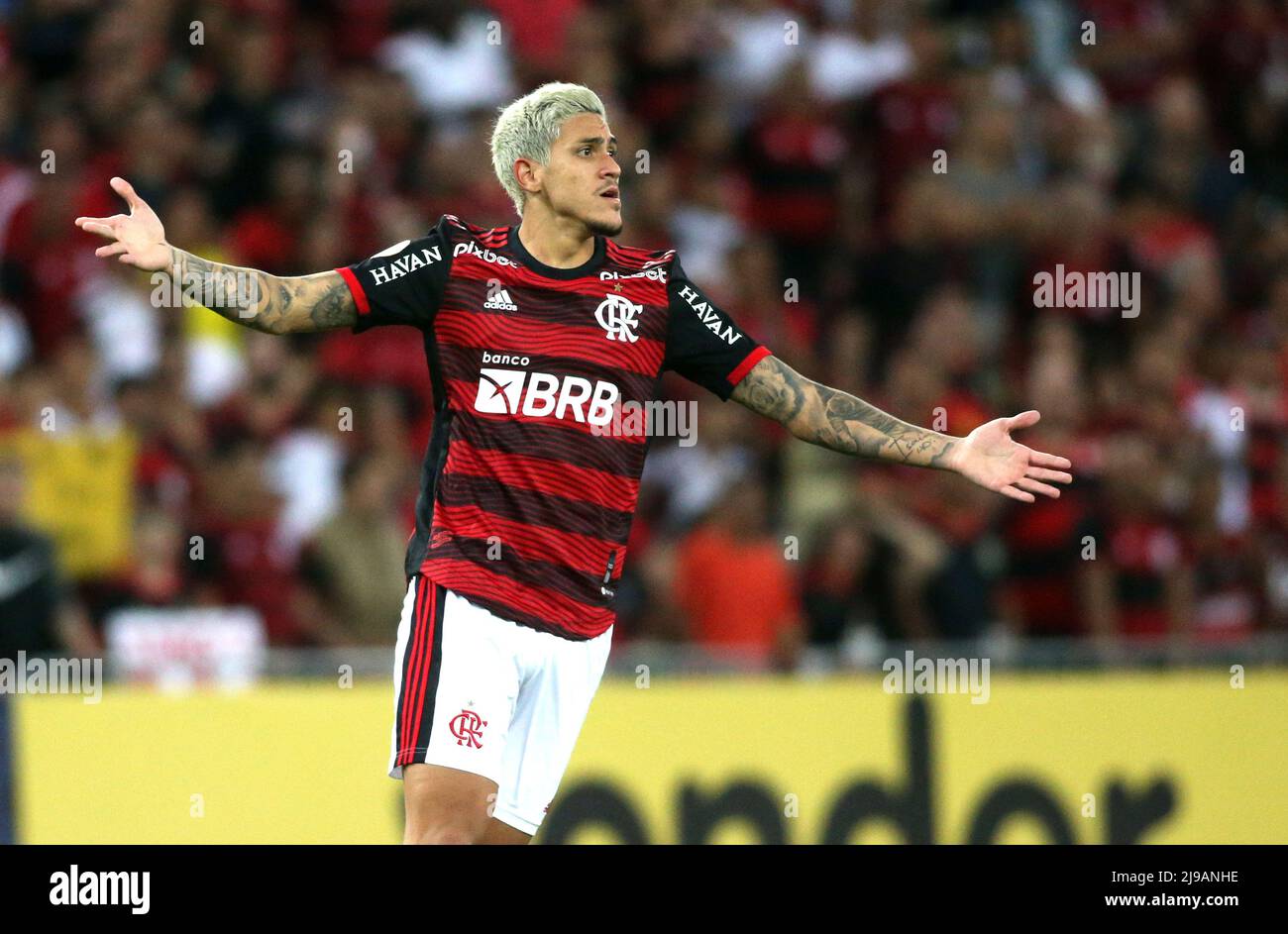 RIO DE JANEIRO, BRAZIL - MAY 21: Pedro Raul of Goias heads the ball against  Pablo of Flamengo ,during the match between Flamengo and Goias as part of  Brasileirao Series A 2022