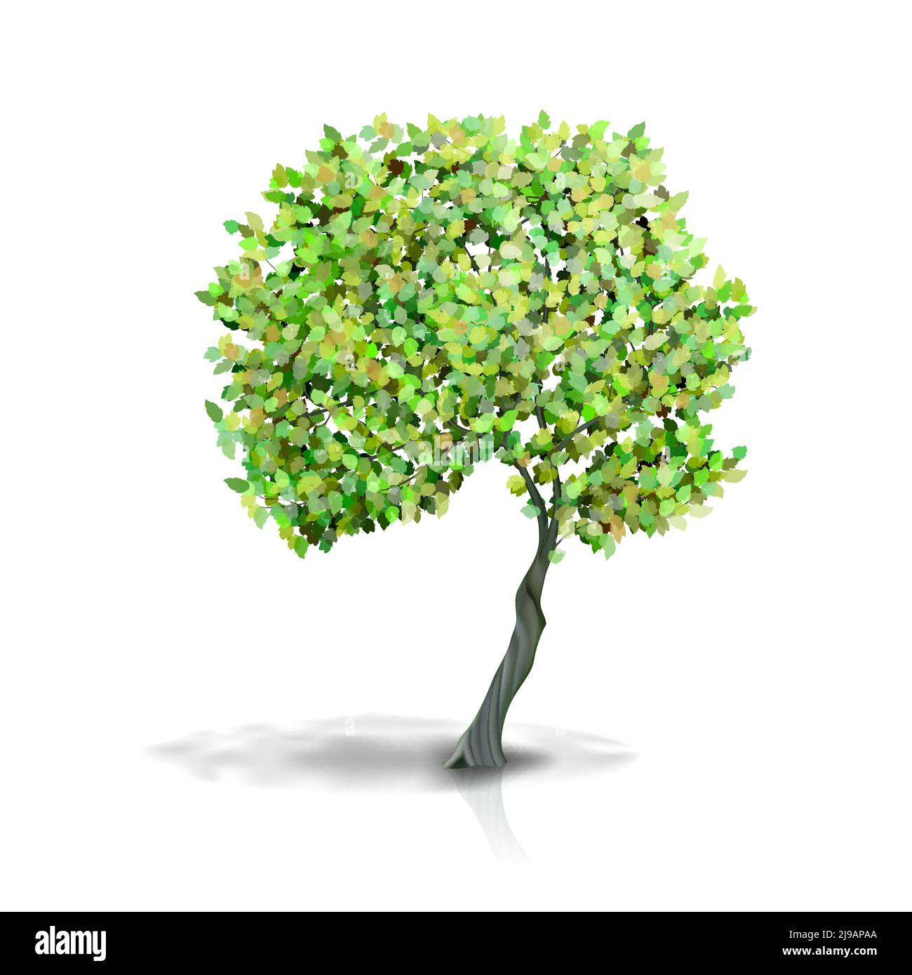 Tree with green leaves Isolated on White Background Stock Vector Image ...