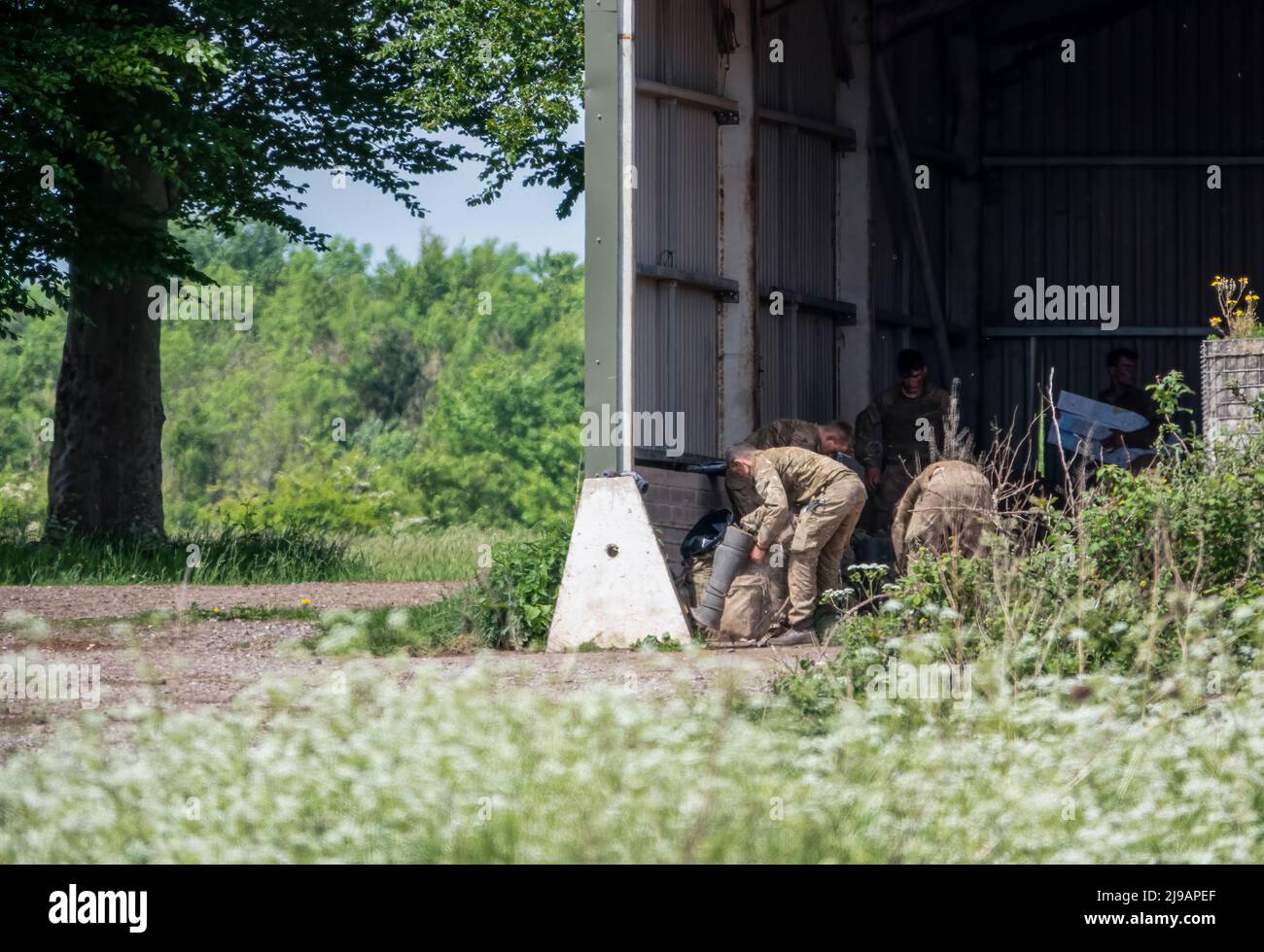 british army soldiers on a military exercise in summer sunshine Stock ...