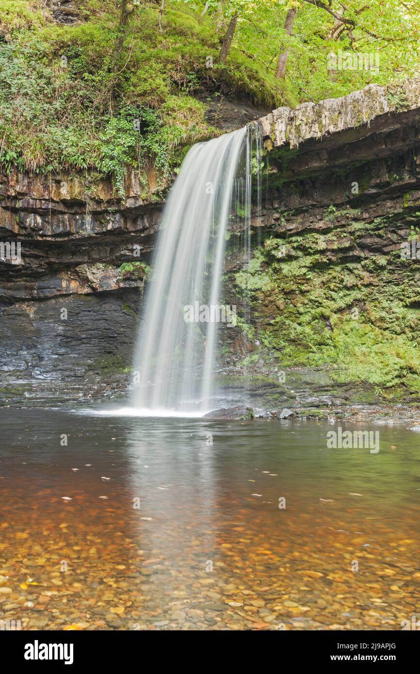 Sgwd Gwladus (Lady Falls) on River Pyrddin, near Pontneddfechan, Brecon Beacons National Park, South Wales, UK Stock Photo