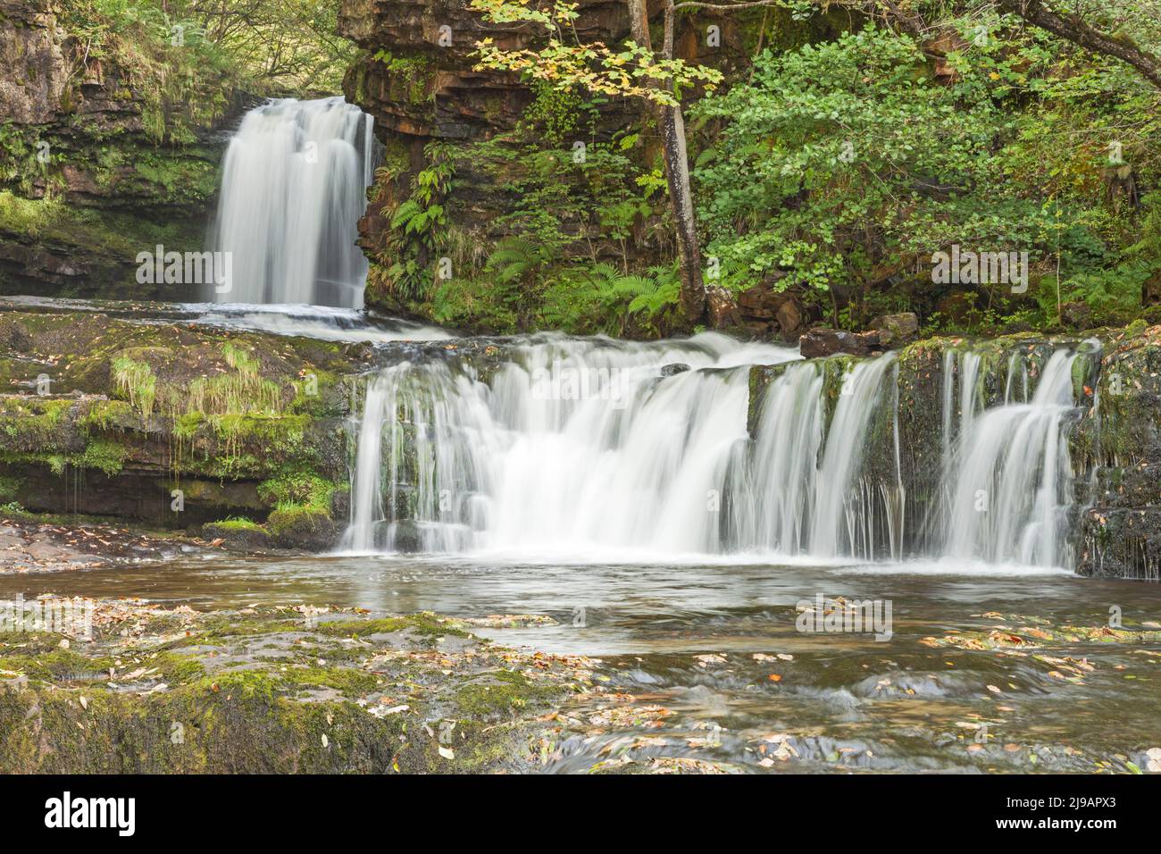 Sgwd Ddwli Isaf (Lower Gushing Falls) on River Nedd Fechan, between Pont Melin-fach and Pontneddfechan, Brecon Beacons National Park, South Wales, UK Stock Photo