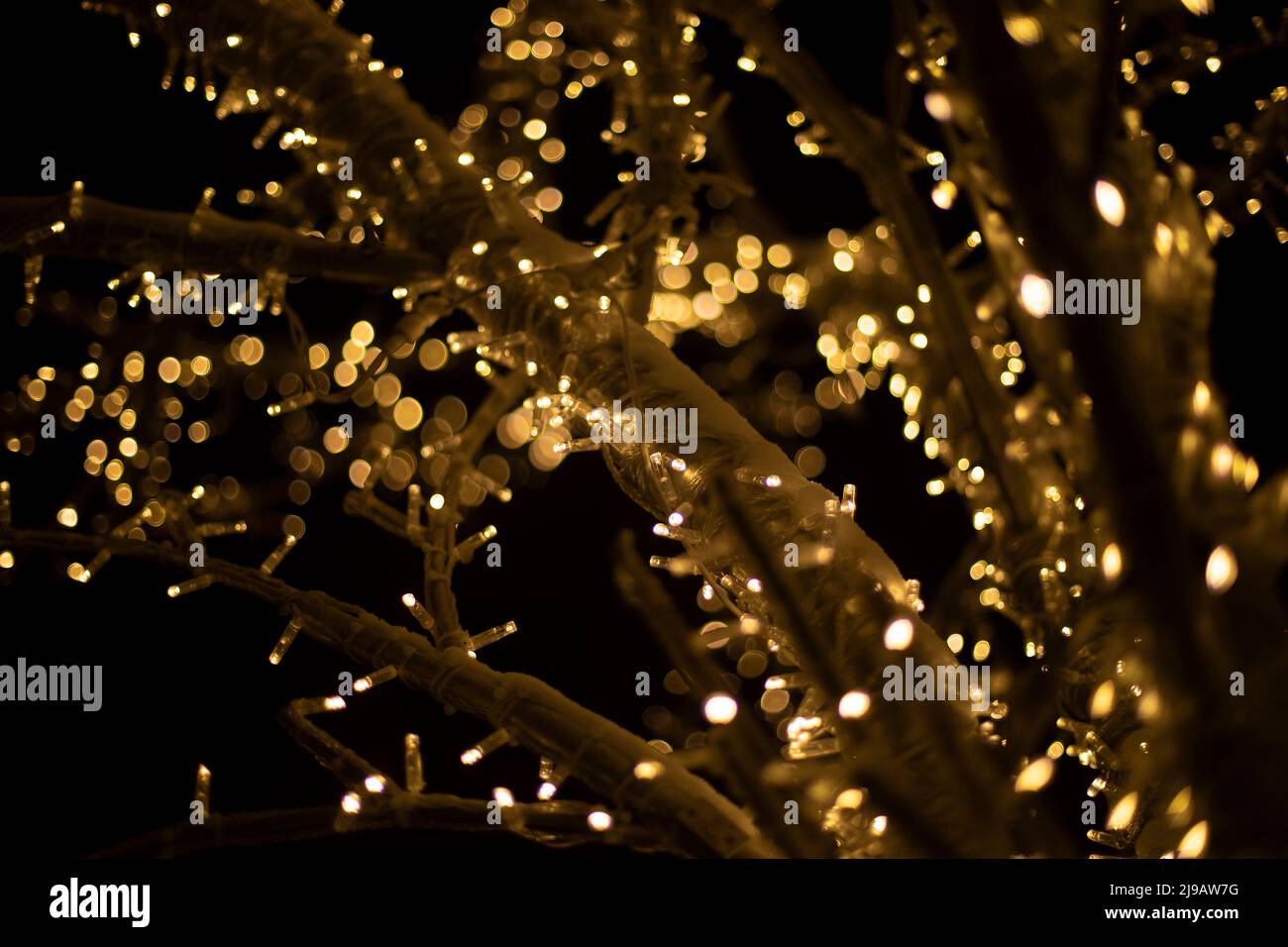 Light bulbs in dark. Wood made of garlands. Glowing background. LEDs