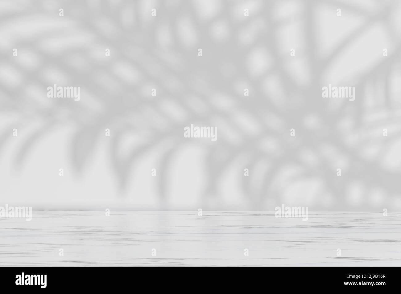 Palm leaf shadows on white wall and floor. Abstract background of ...