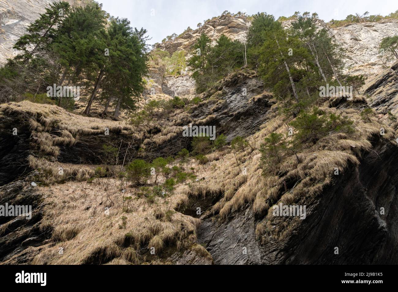 Fascinating Alpine Rock And Block Gallery