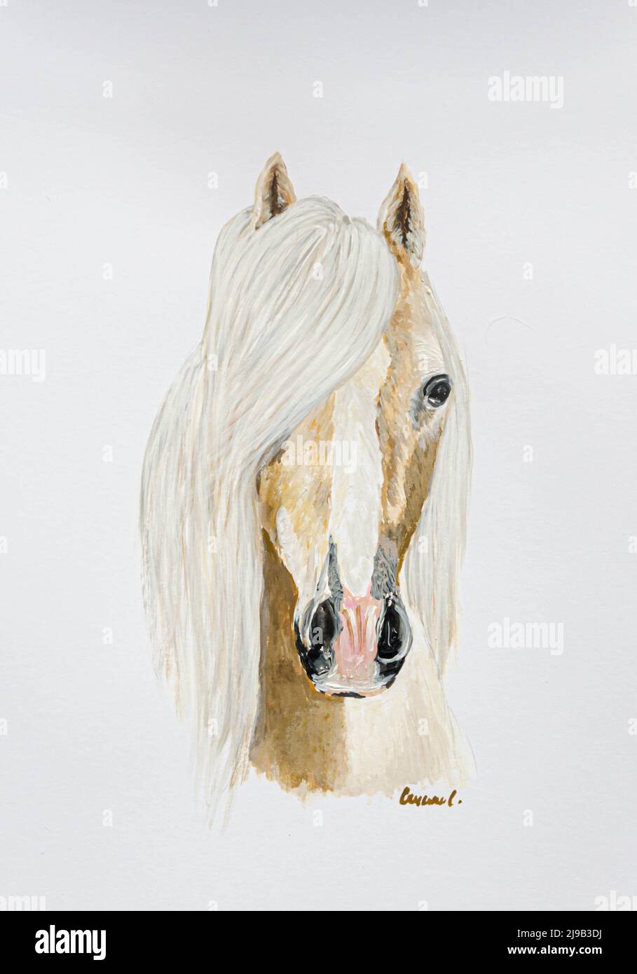 Horse painting Stock Photo