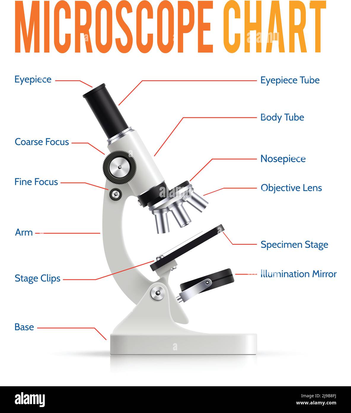 Modern electronic powerful lab microscope parts infographic  presentation chart with realistic instrument side view poster vector illustration Stock Vector
