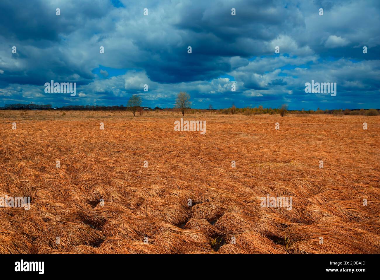 Beautiful landscape dry grass hi-res stock photography and images - Alamy