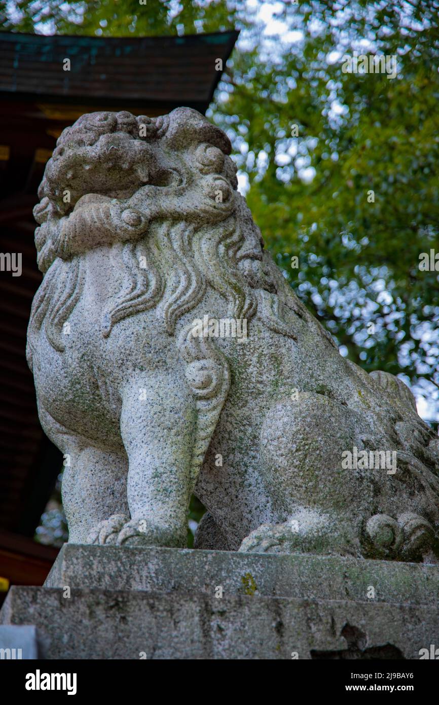 Statue guardian dog KOMAINU at Japanese traditional shrine Stock Photo