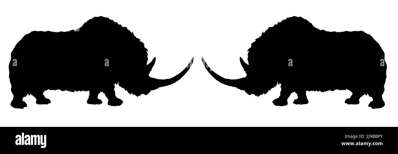 Prehistoric Woolly rhinoceros. Silhouette drawing with extinct rhinoceros. Stock Photo