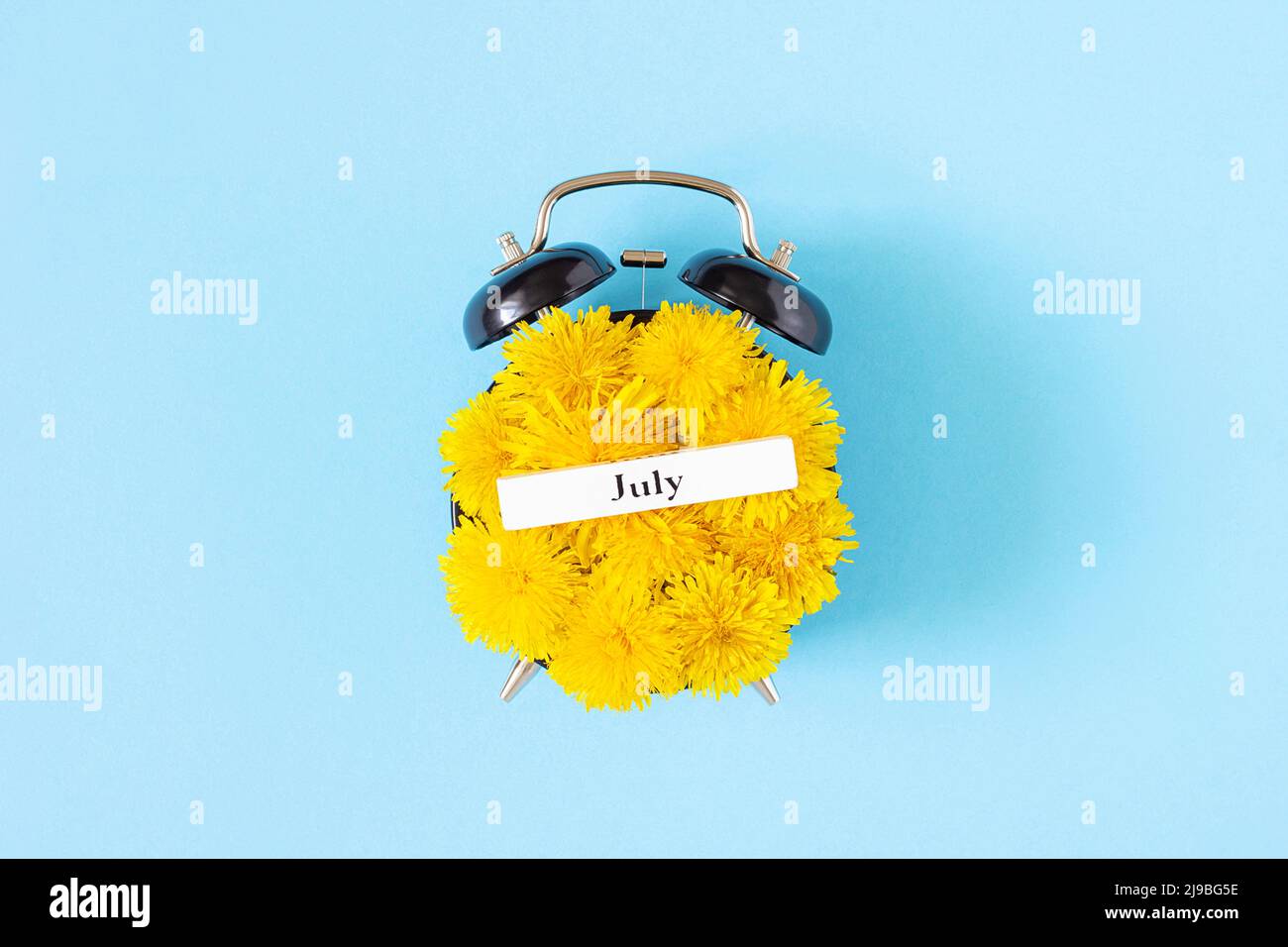 Calendar summer month July and alarm clock with yellow dandelions flowers on face, blue background. Top view Flat lay. Creative minimal concept July t Stock Photo
