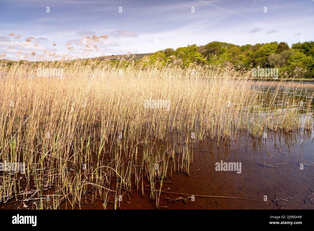 Lough Graney in County Clare, Ireland Stock Photo