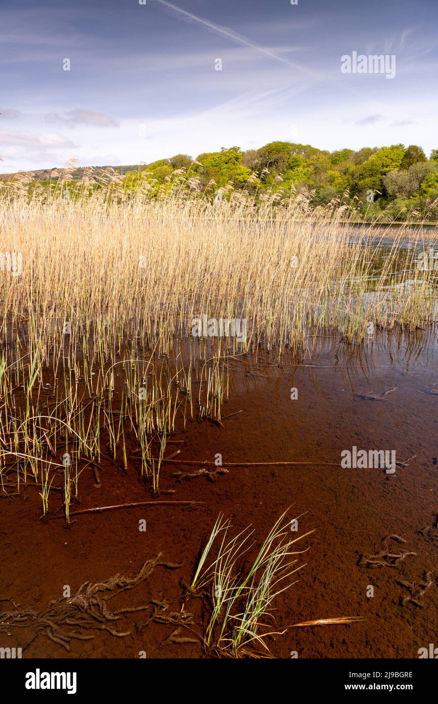 Lough Graney in County Clare, Ireland Stock Photo