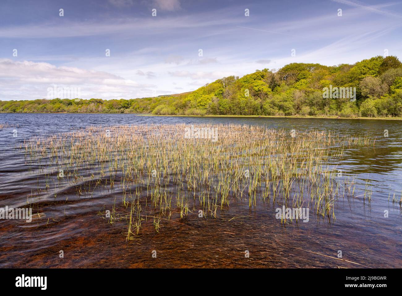Lough Graney in County Clare, Ireland Stock Photo