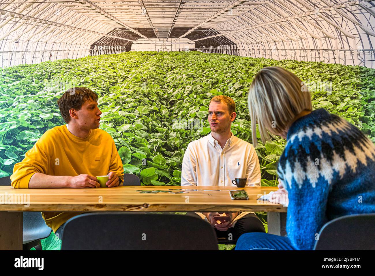 Nordic Wasabi founder Ragnar Atli Tomason, pictured left, and Olli Hall responsible for