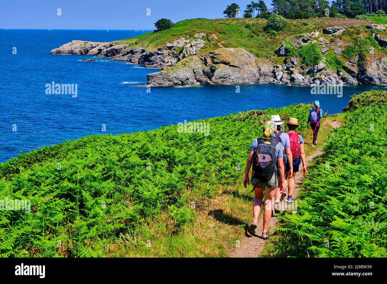 France, Morbihan, Belle-Ile-en-mer, north coast says the soft coast ...