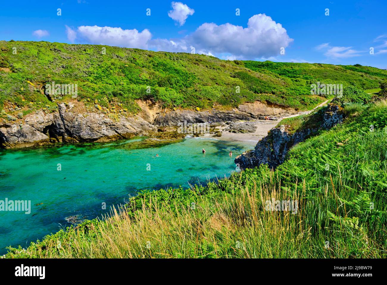 France, Morbihan, Belle-Ile-en-mer, north coast says the soft coast ...
