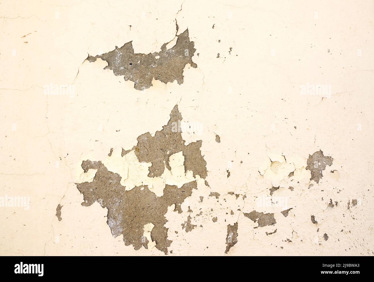 Wall paint peeling off due to moisture problems on wallcovering, need